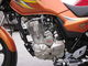Ventili la scossa raffreddata del motore del motociclo 125cc/volume elettrico del cilindro di inizio 149ml fornitore